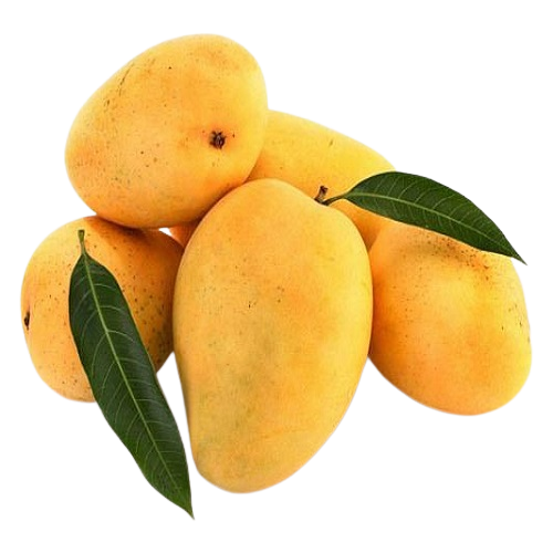 Fresh_Mangoes.png